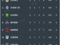 杏彩体育-中超联赛第11轮最佳球迷文化评选结果公布的简单介绍