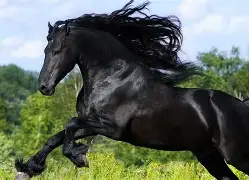 马拉维女足明日之星崭露头角，备受关注